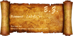 Bammer Zalán névjegykártya